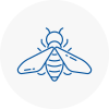 Bee Nest Removal Timperley
