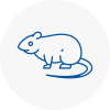 Rat Control Timperley