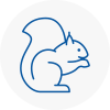 Timperley Rodent Removals
